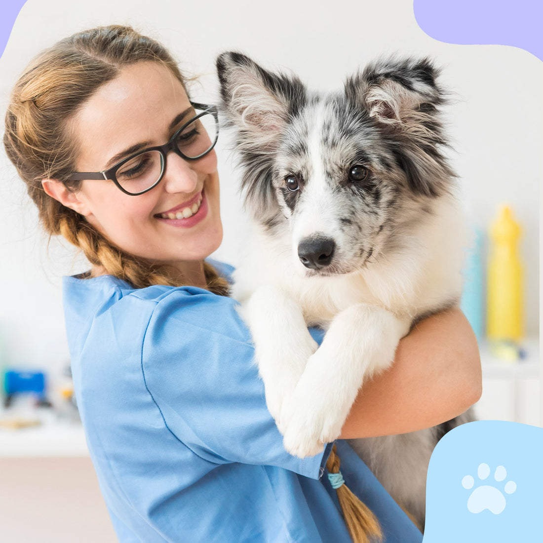 Preventing Hair Loss in Dogs: Tips and Tricks with Worafy's Dog Treats