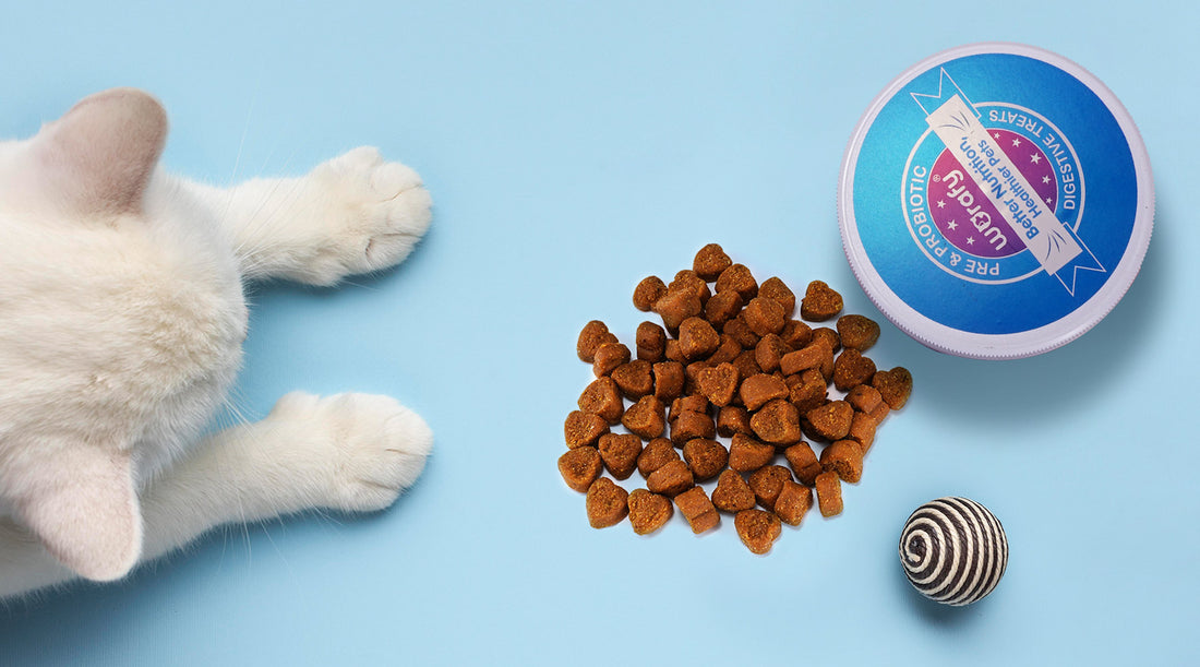 A Delicious and Nutritious Option for Your Furry Friend