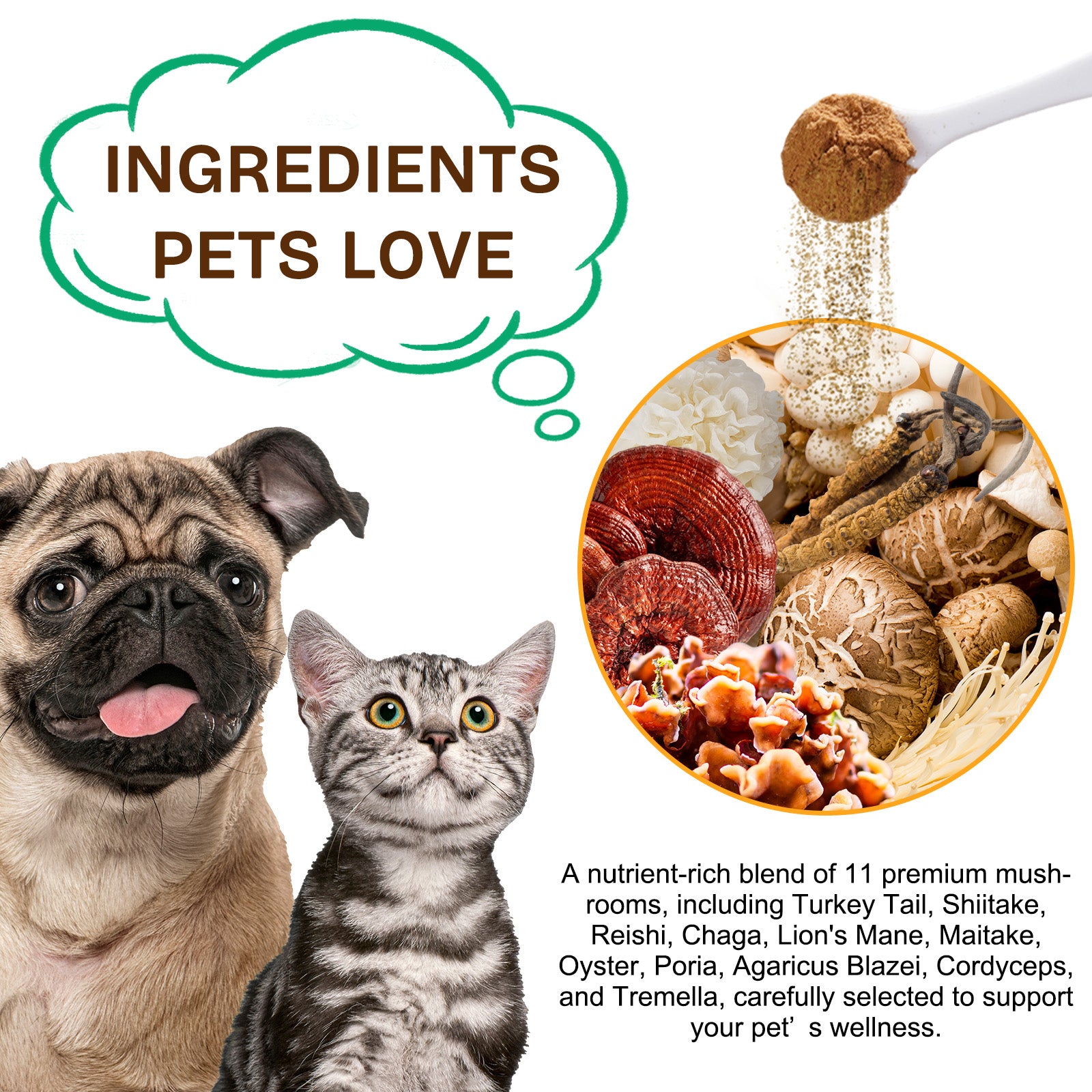 Worafy Mushroom Powder Dor Immune Support Beta-Glucans and Polyphenols 120g