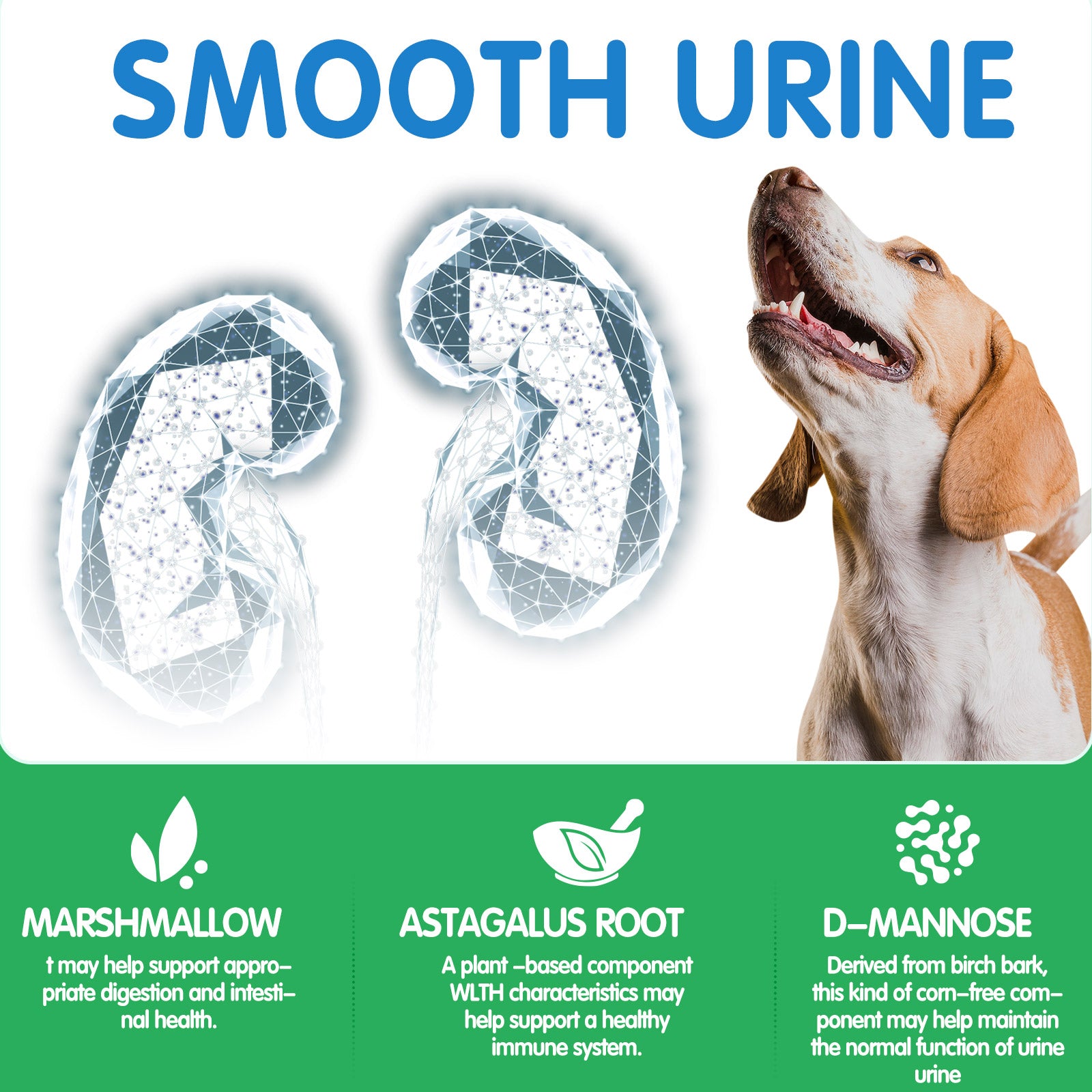 Worafy Bladder Control & Cranberry Chews For Dogs