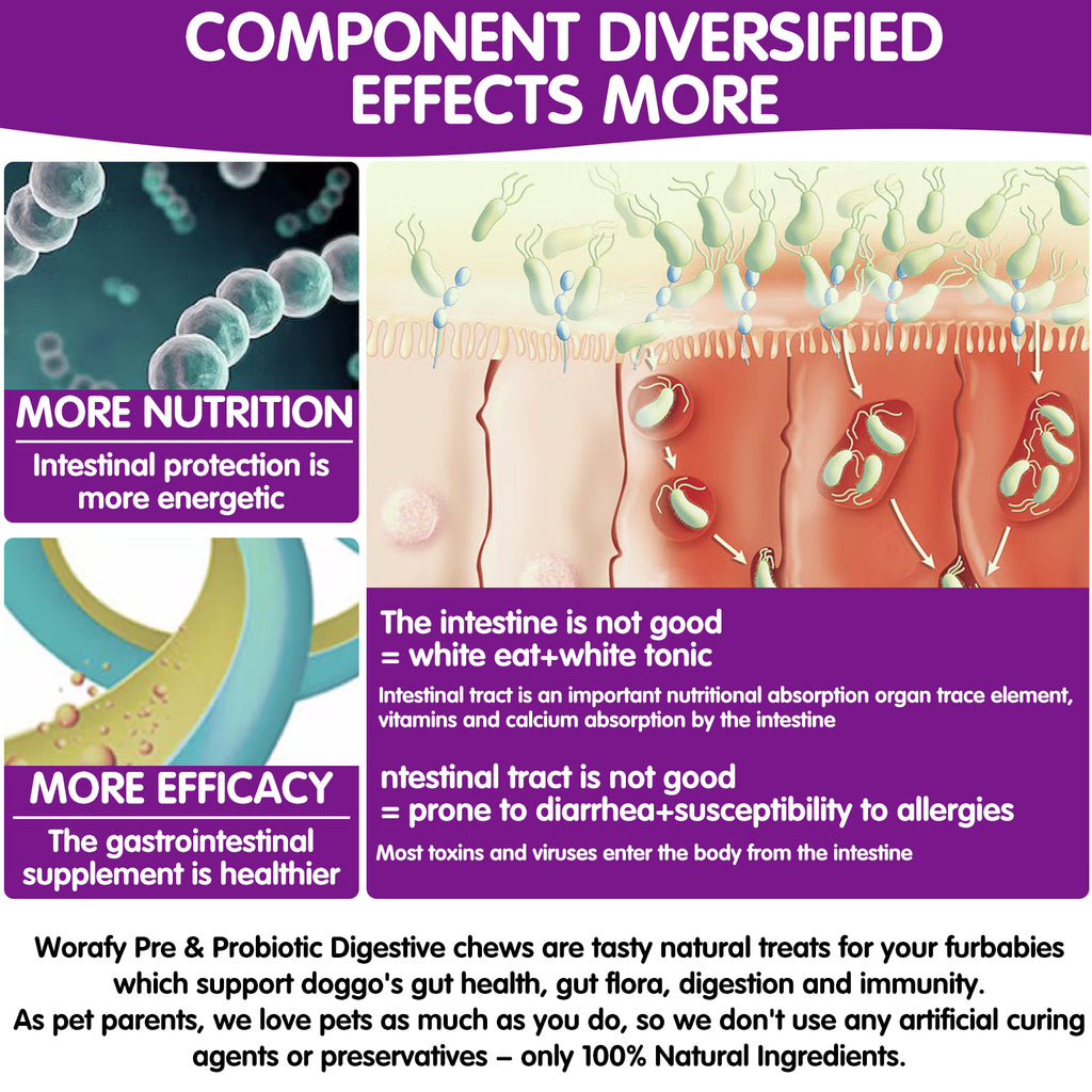 Worafy Pre & Probiotic Digestive Treats For Dogs