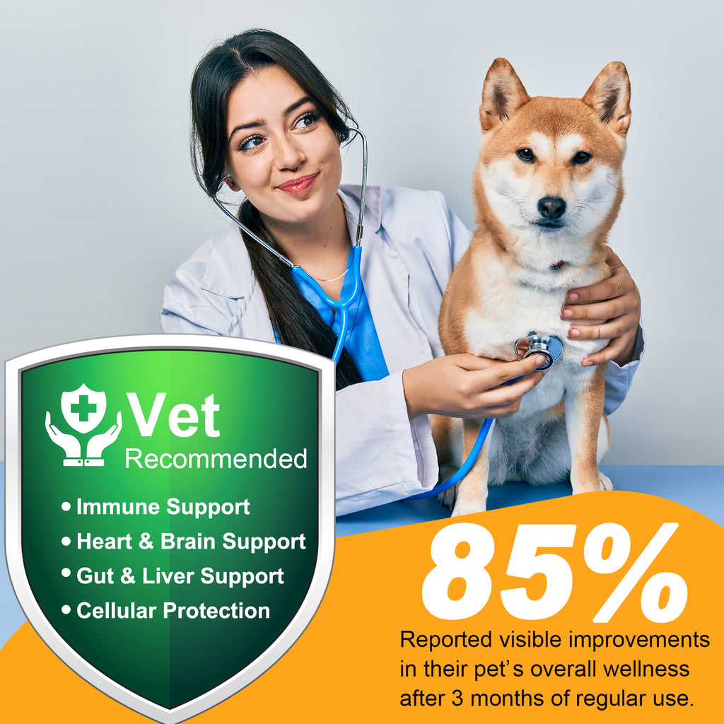 Worafy Mushroom Powder Dor Immune Support Beta-Glucans and Polyphenols 120g