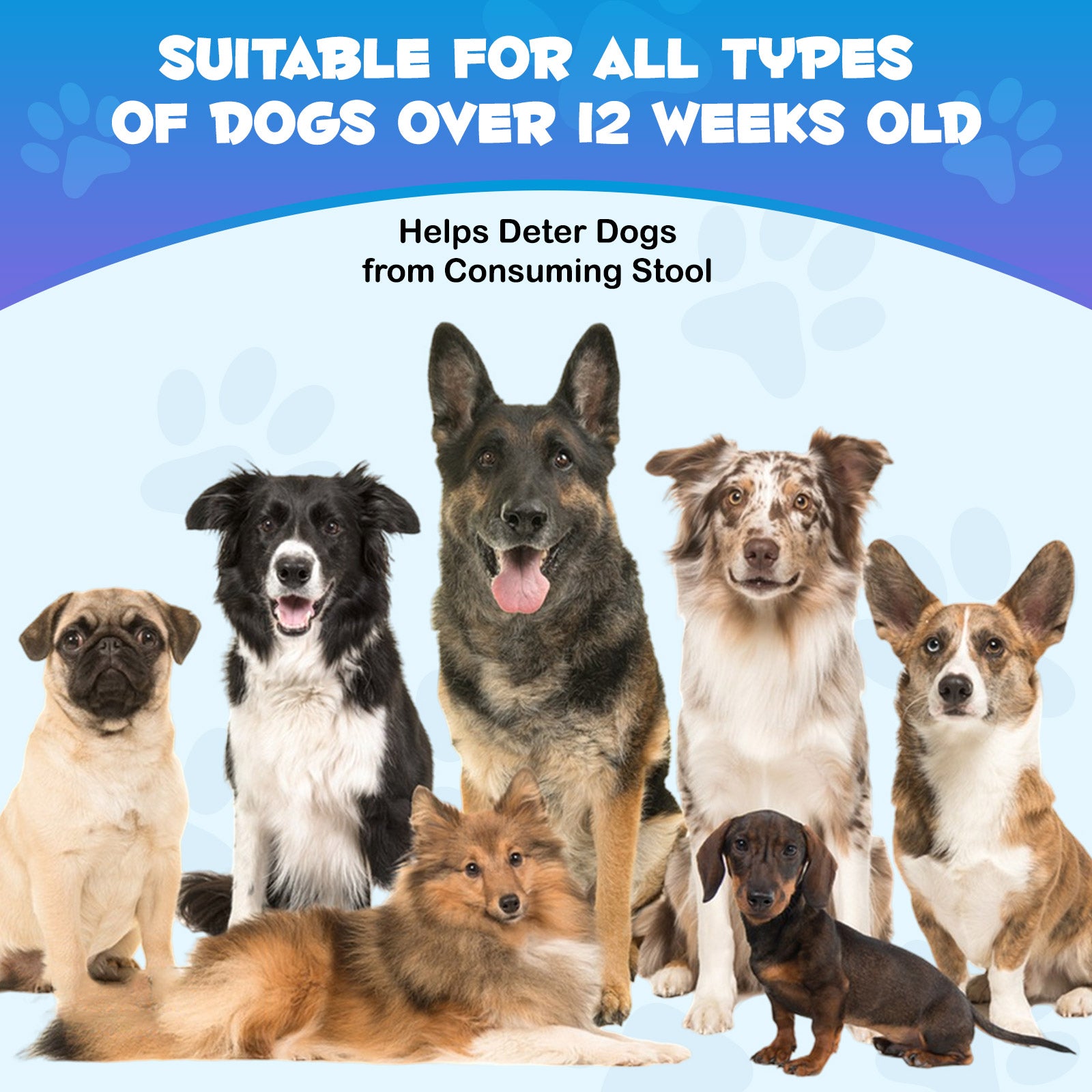 Worafy No Poo Immune Chews For Dogs