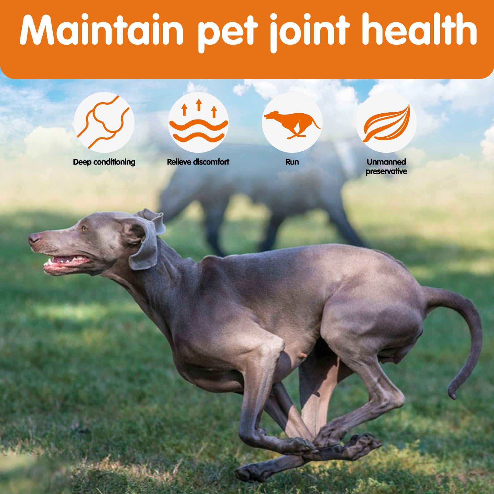 Worafy Hip + Joint + Glucosamine Hemp Chews For Dogs