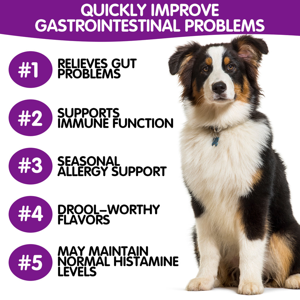 Worafy Pre & Probiotic Digestive Treats For Dogs