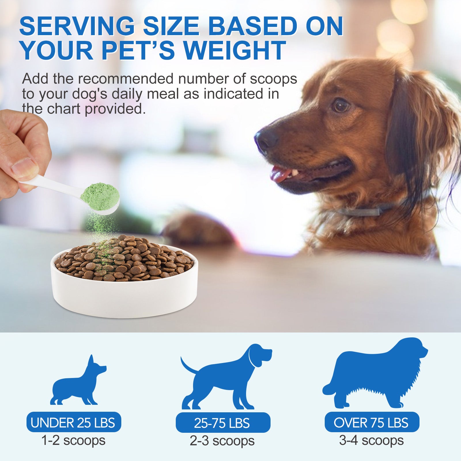 Worafy Pet Dental Cleaning Powder 100g