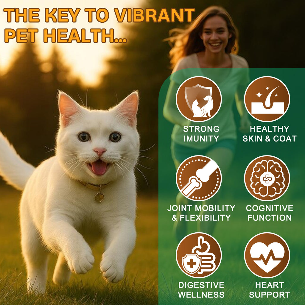 Worafy Mushroom Powder Dor Immune Support Beta-Glucans and Polyphenols 120g