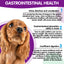Worafy Pre & Probiotic Digestive Treats For Dogs