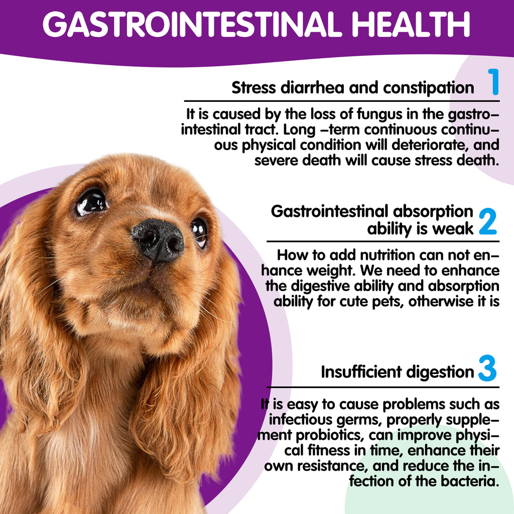 Worafy Pre & Probiotic Digestive Treats For Dogs