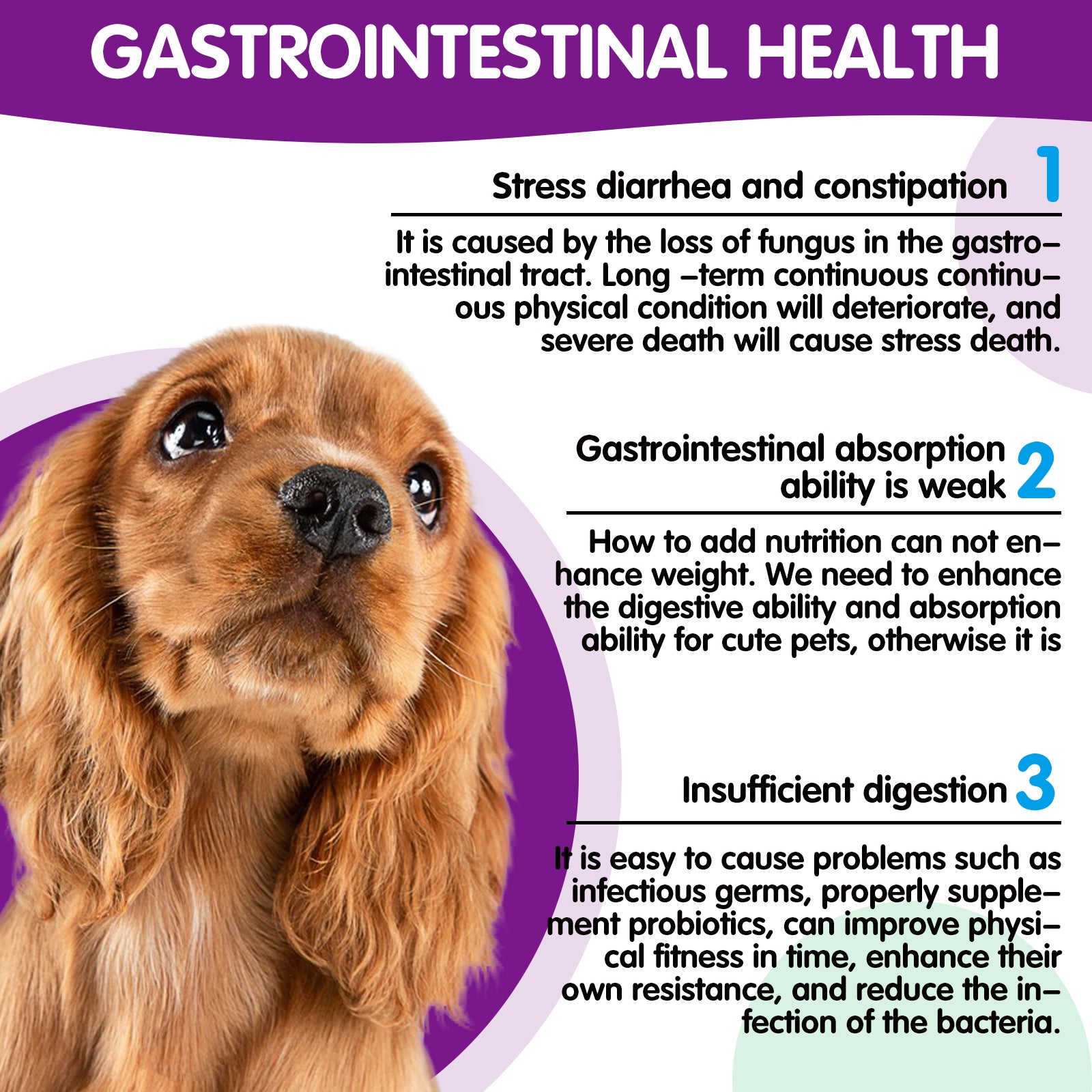 Worafy Pre & Probiotic Digestive Treats For Dogs