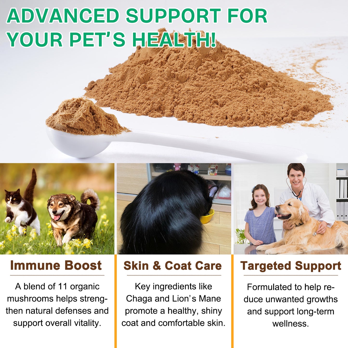 Worafy Mushroom Powder Dor Immune Support Beta-Glucans and Polyphenols 120g