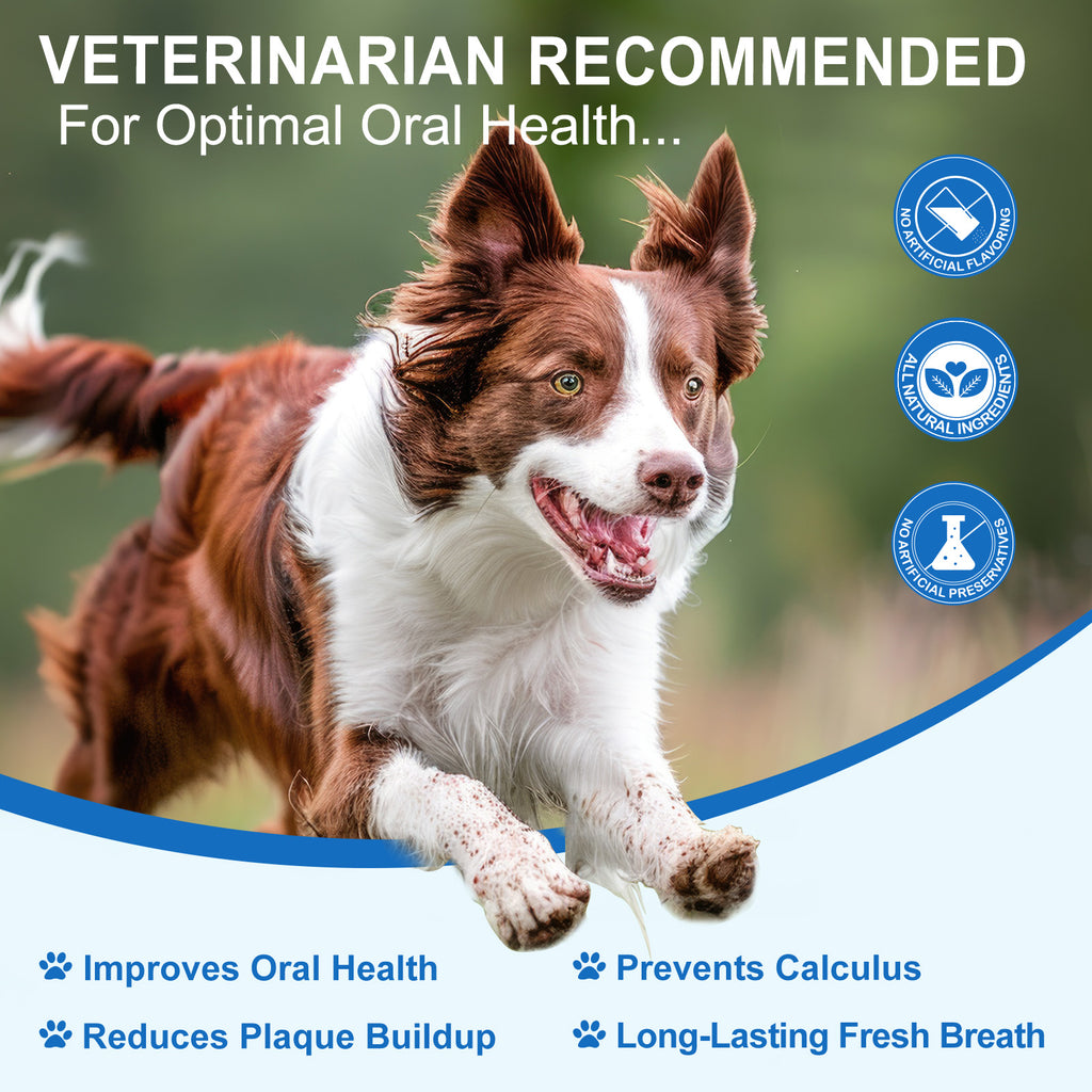 Worafy Pet Dental Cleaning Powder 100g