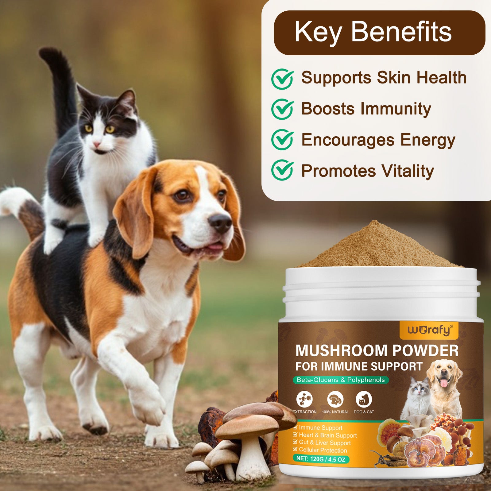 Worafy Mushroom Powder Dor Immune Support Beta-Glucans and Polyphenols 120g