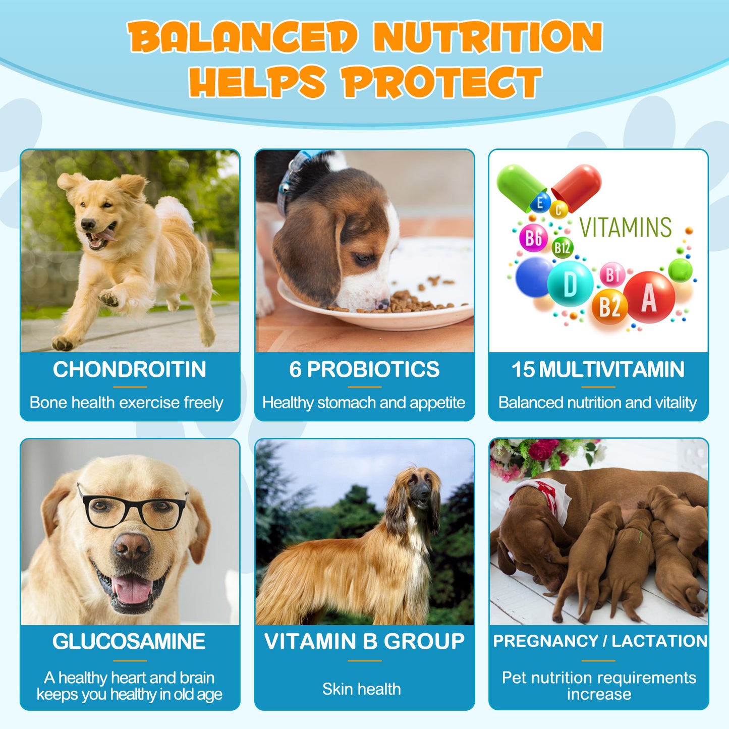 Worafy 15 in 1 Multivitamin + Hip & Joint + Skin & Coat Chews For Dogs