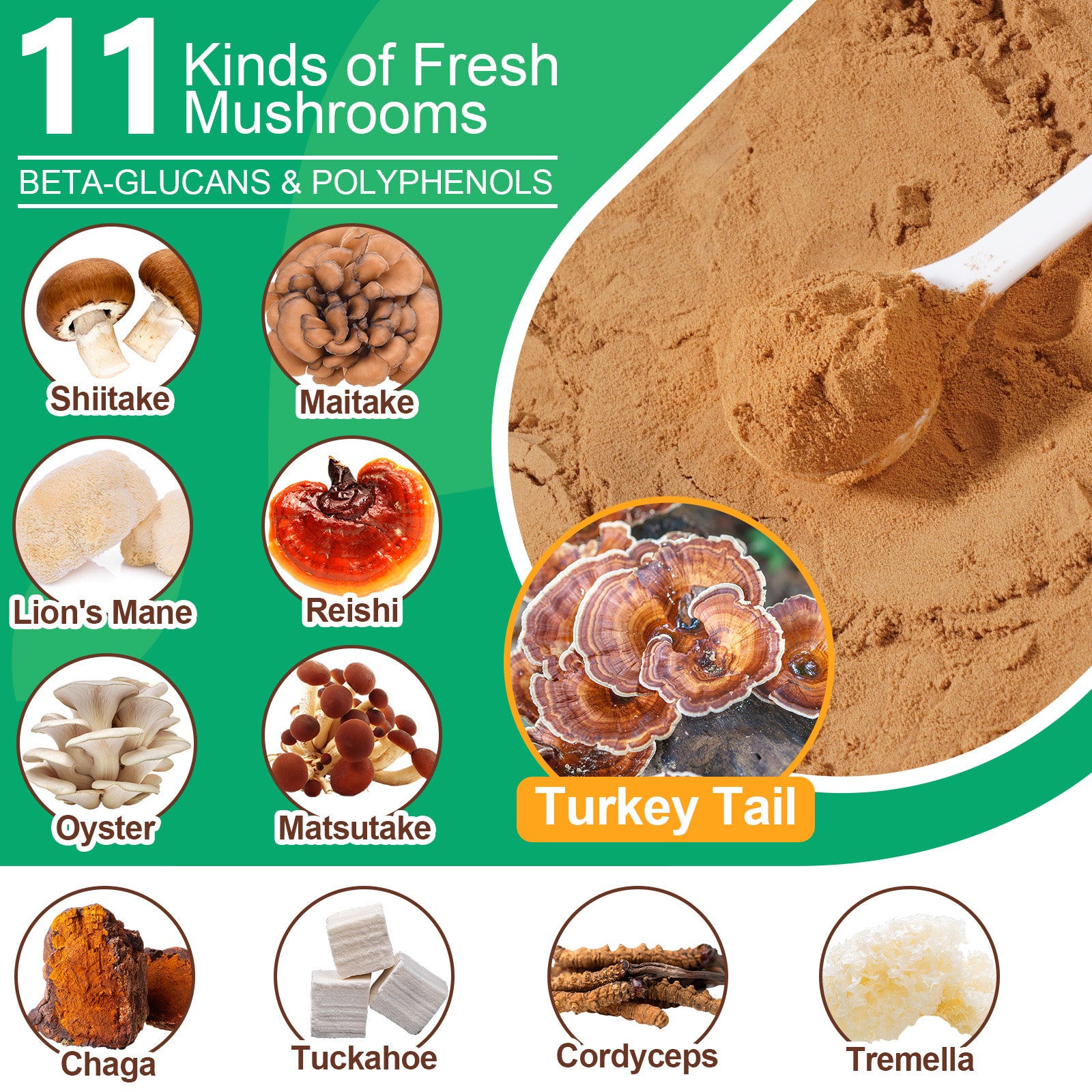 Worafy Mushroom Powder Dor Immune Support Beta-Glucans and Polyphenols 120g