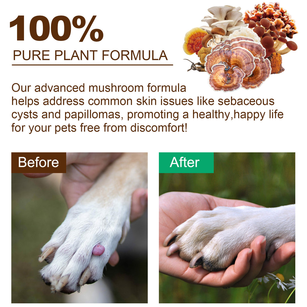 Worafy Mushroom Powder Dor Immune Support Beta-Glucans and Polyphenols 120g