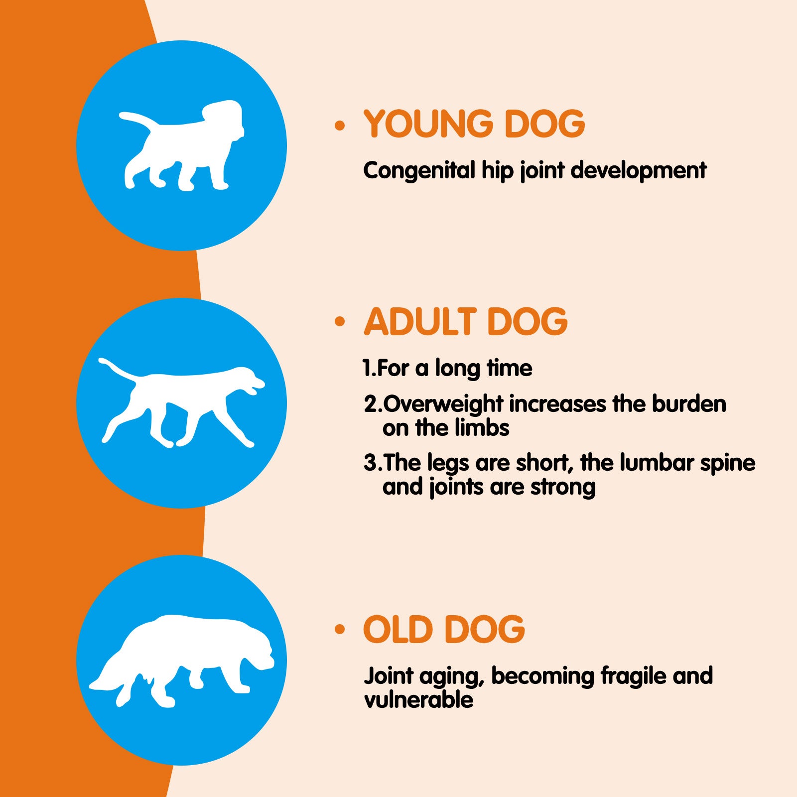 Worafy Hip + Joint + Glucosamine Hemp Chews For Dogs