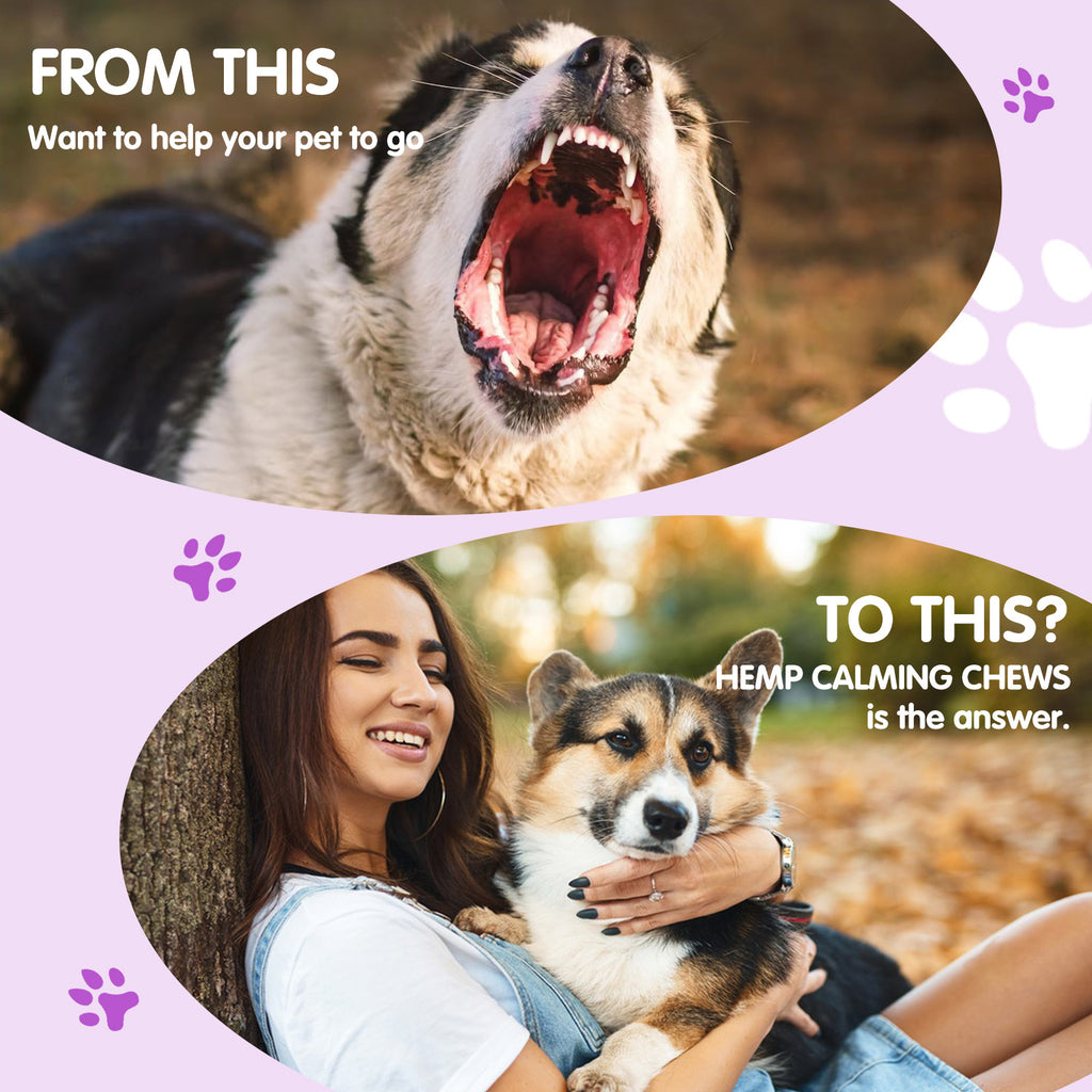 Worafy Hemp Calming Chews For Dogs/CHICKEN