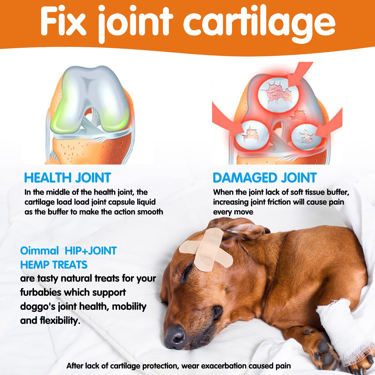 Worafy Hip + Joint + Glucosamine Hemp Chews For Dogs