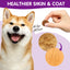 Worafy Pre & Probiotic Digestive Treats For Dogs