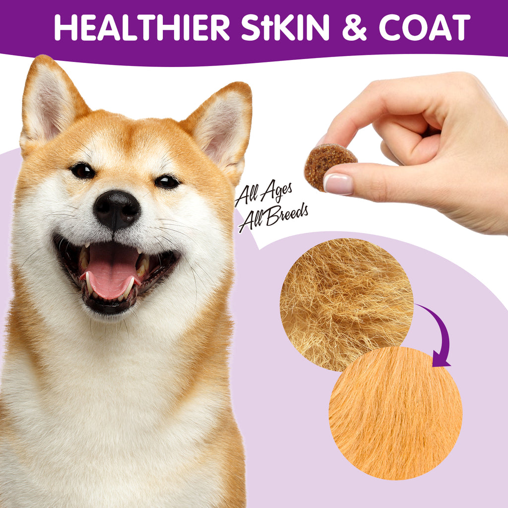 Worafy Pre & Probiotic Digestive Treats For Dogs