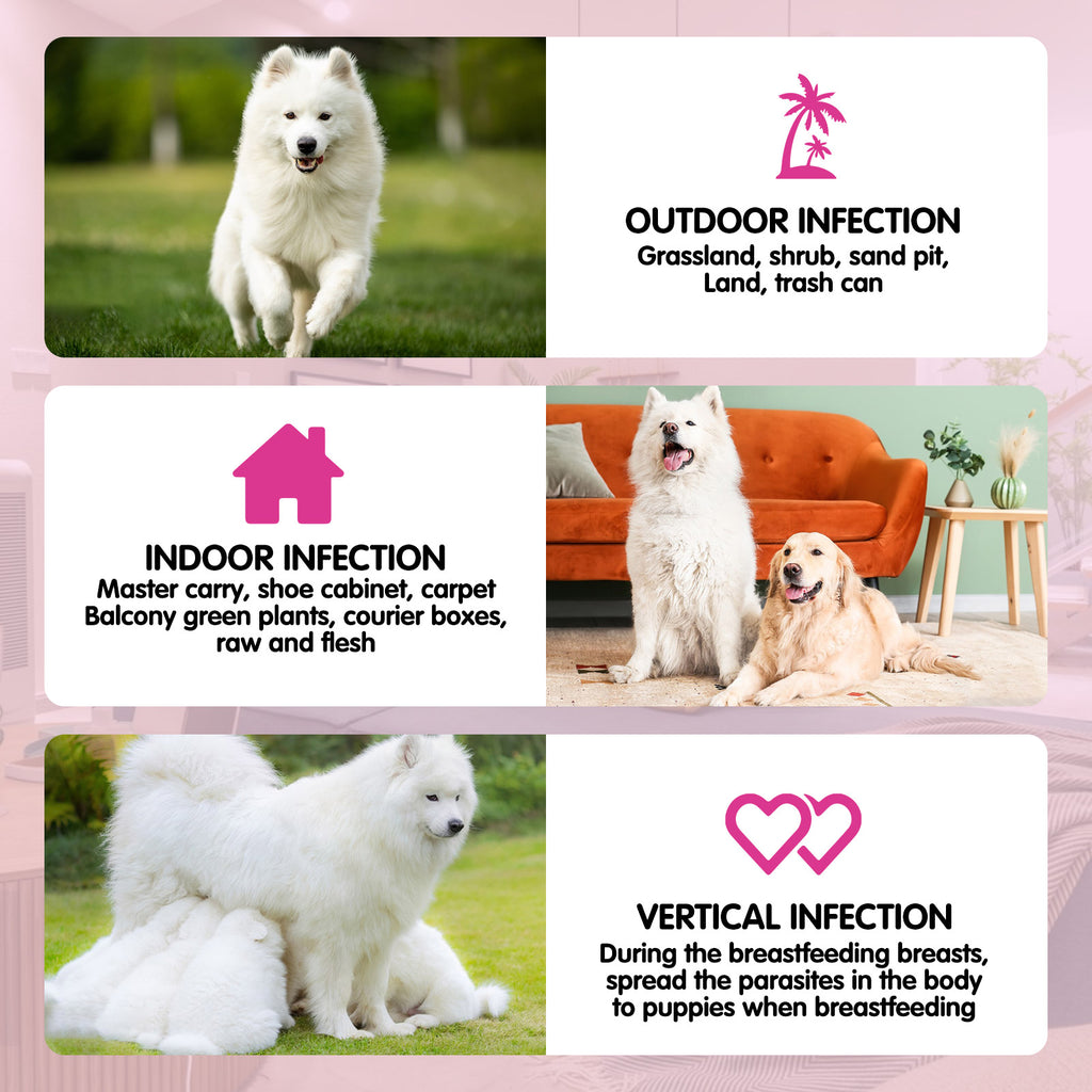 Worafy Flea & Tick Chews For Dogs