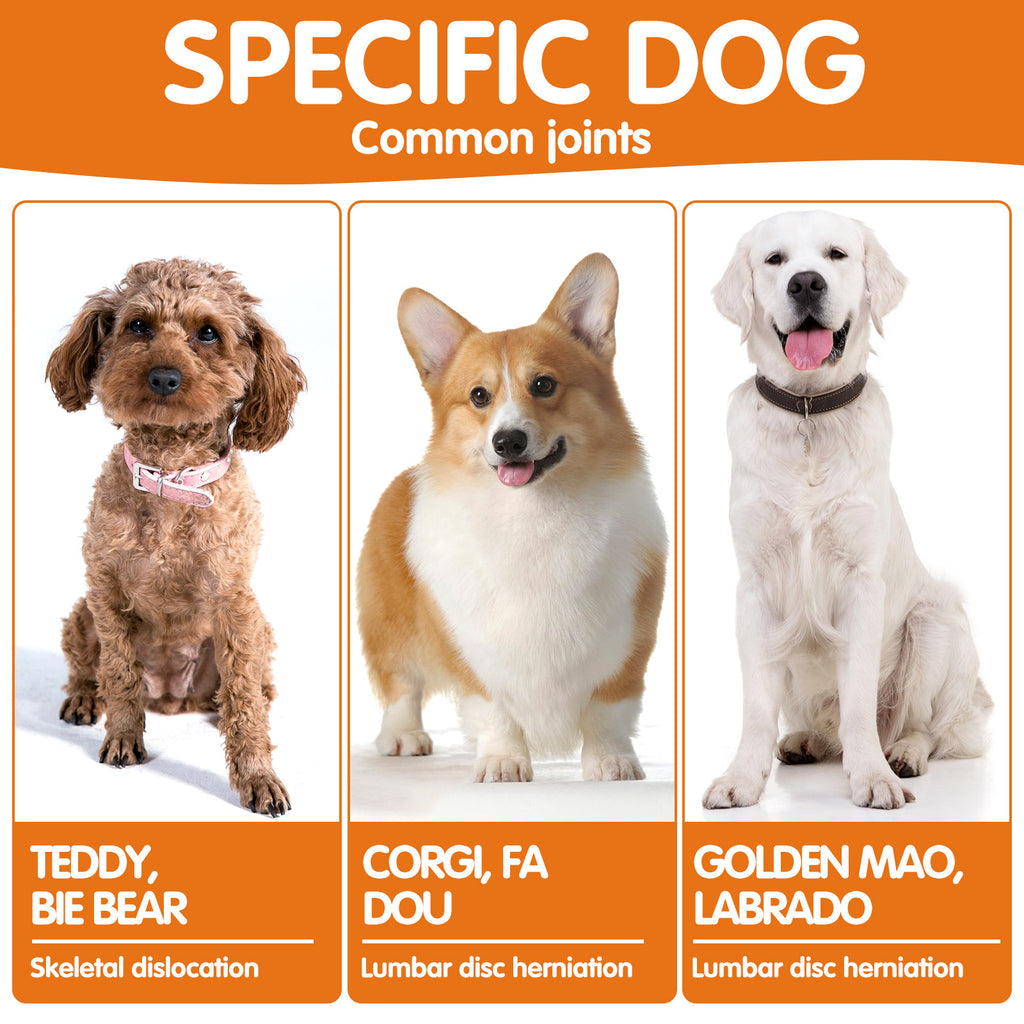 Worafy Hip + Joint + Glucosamine Hemp Chews For Dogs