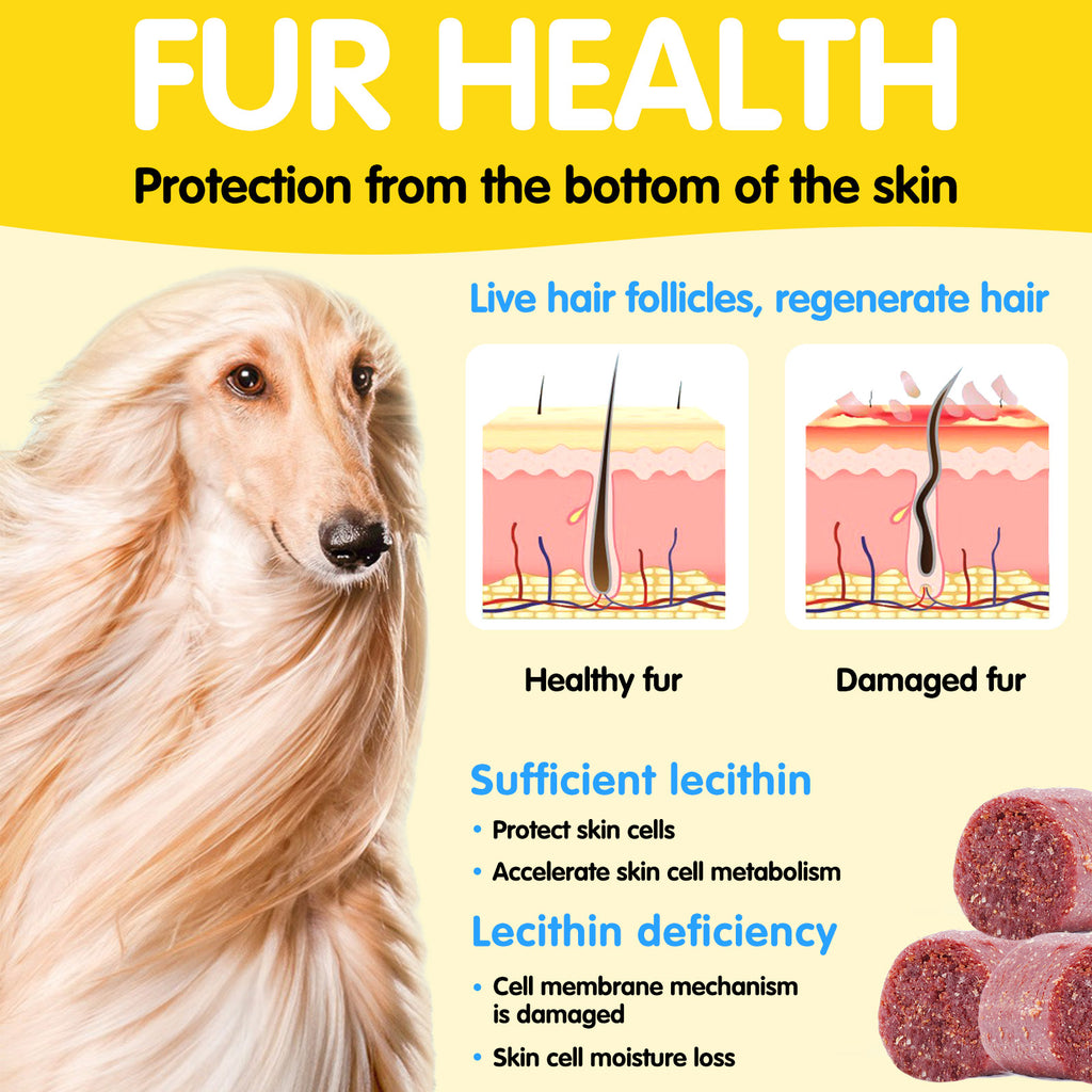 Worafy Skin & Coat Omega Treats For Dogs
