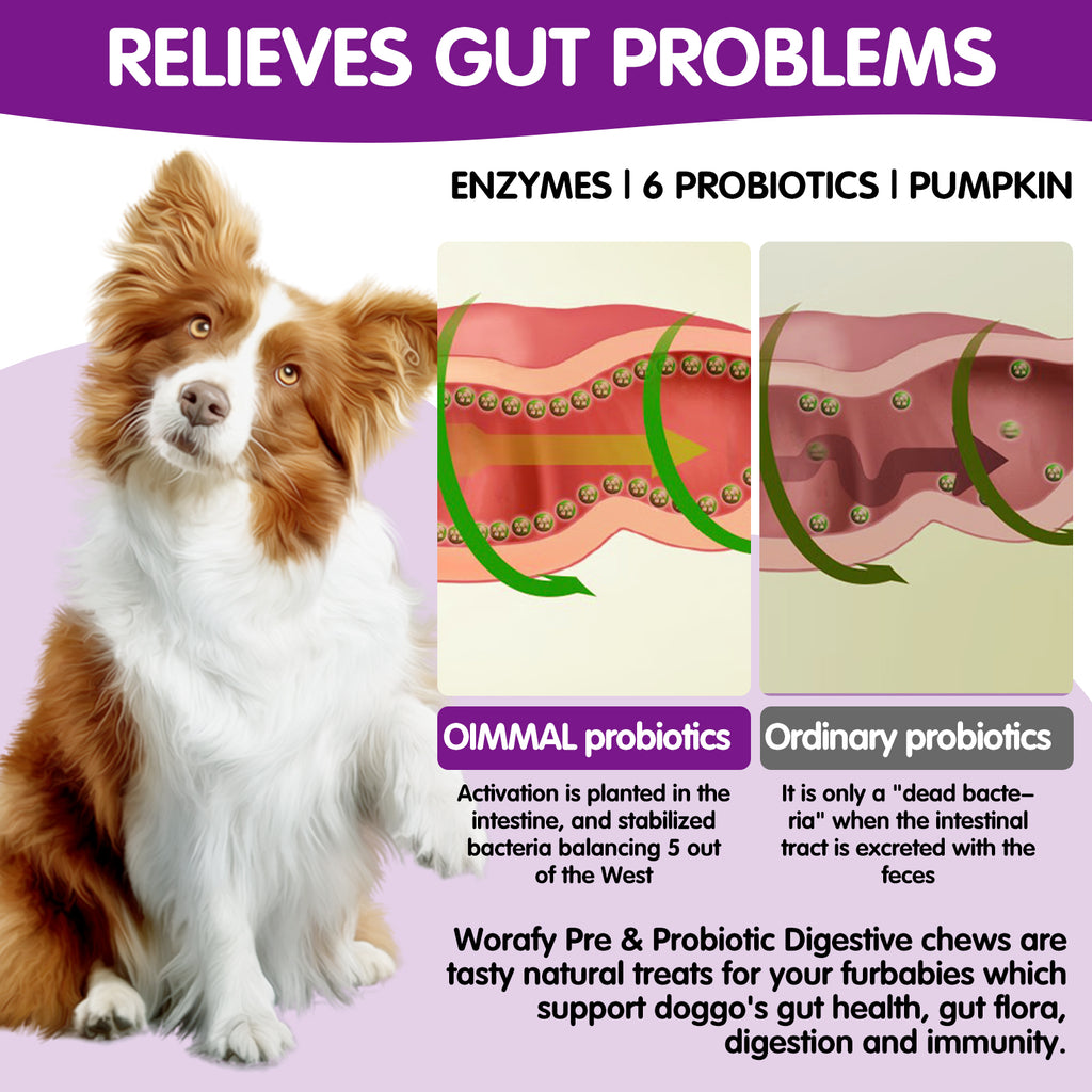 Worafy Pre & Probiotic Digestive Treats For Dogs