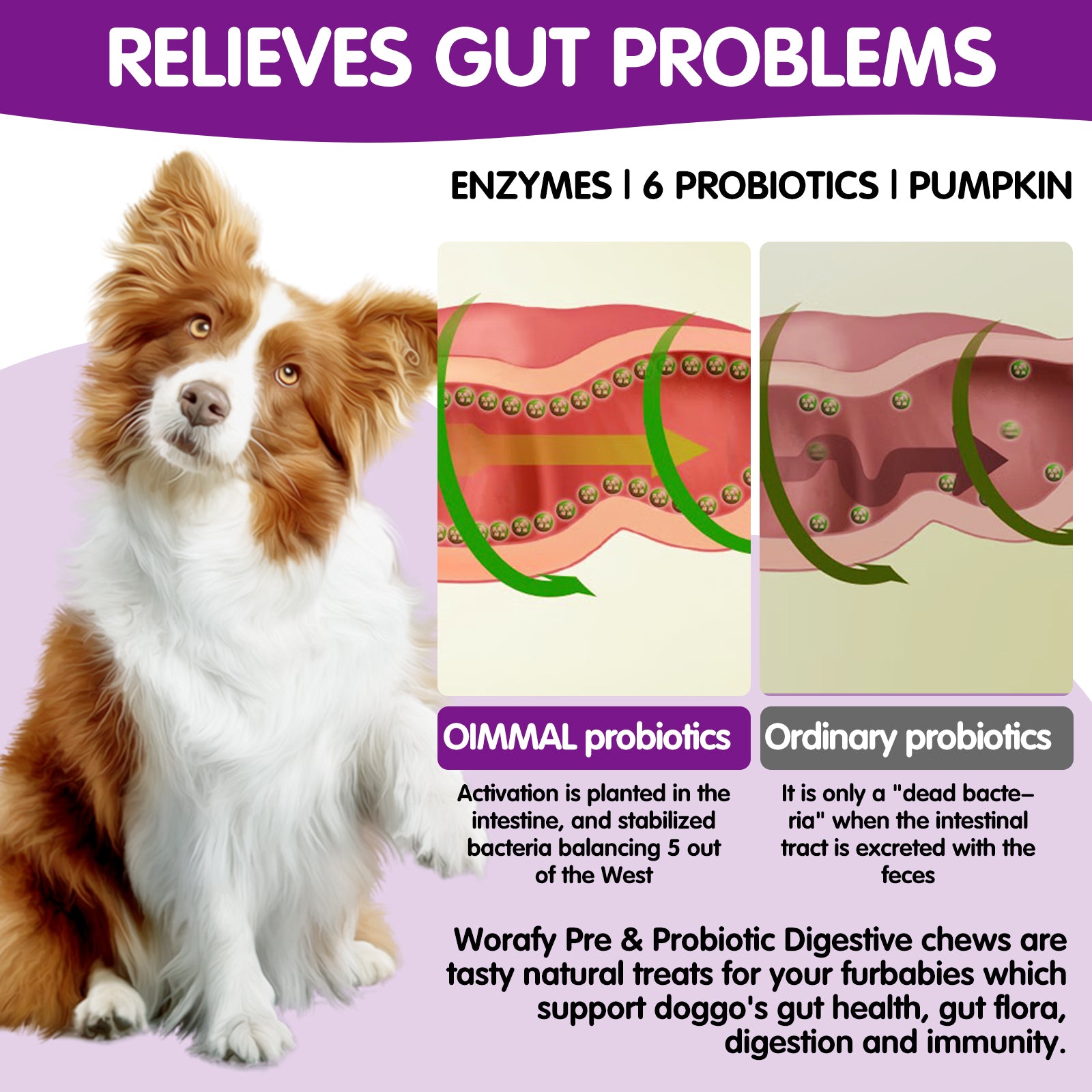 Worafy Pre & Probiotic Digestive Treats For Dogs