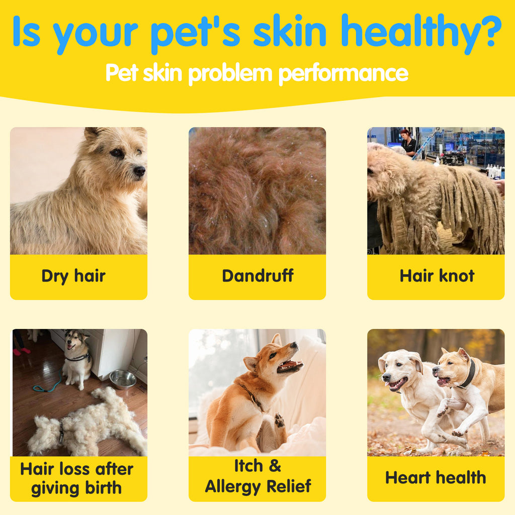 Worafy Skin & Coat Omega Treats For Dogs