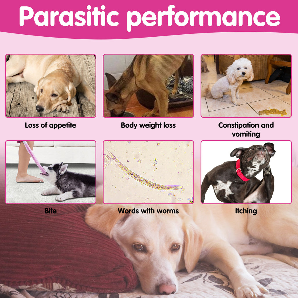 Worafy Flea & Tick Chews For Dogs