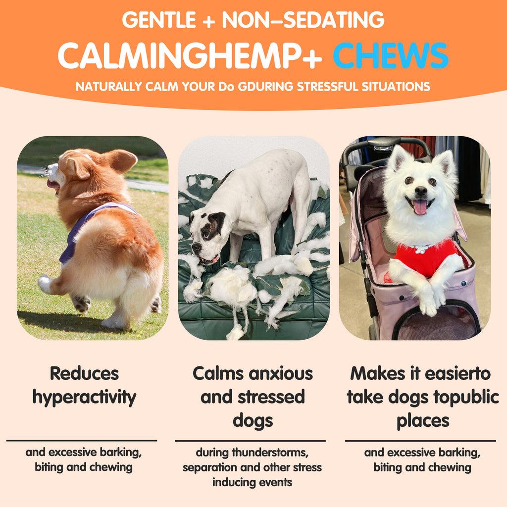 Worafy Hemp Calming Chews For Dogs/DUCK