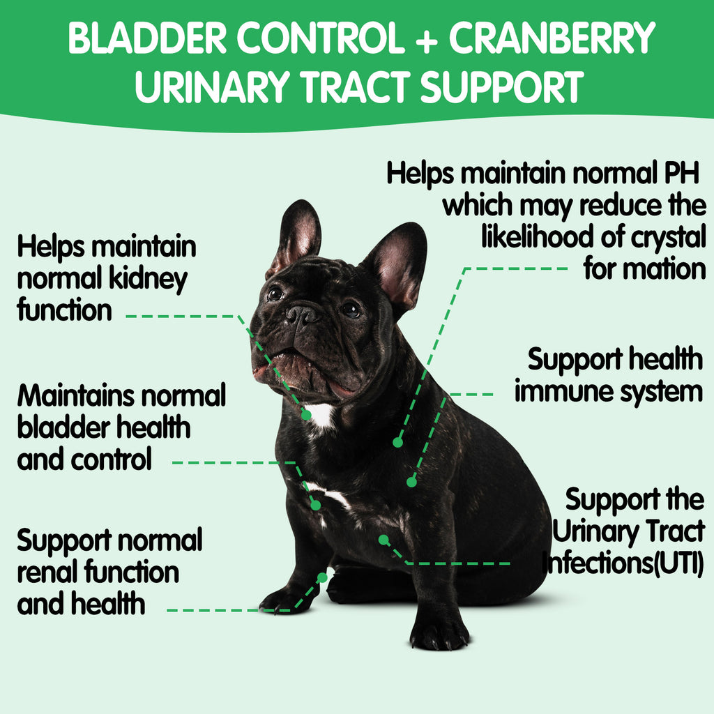 Worafy Bladder Control & Cranberry Chews For Dogs