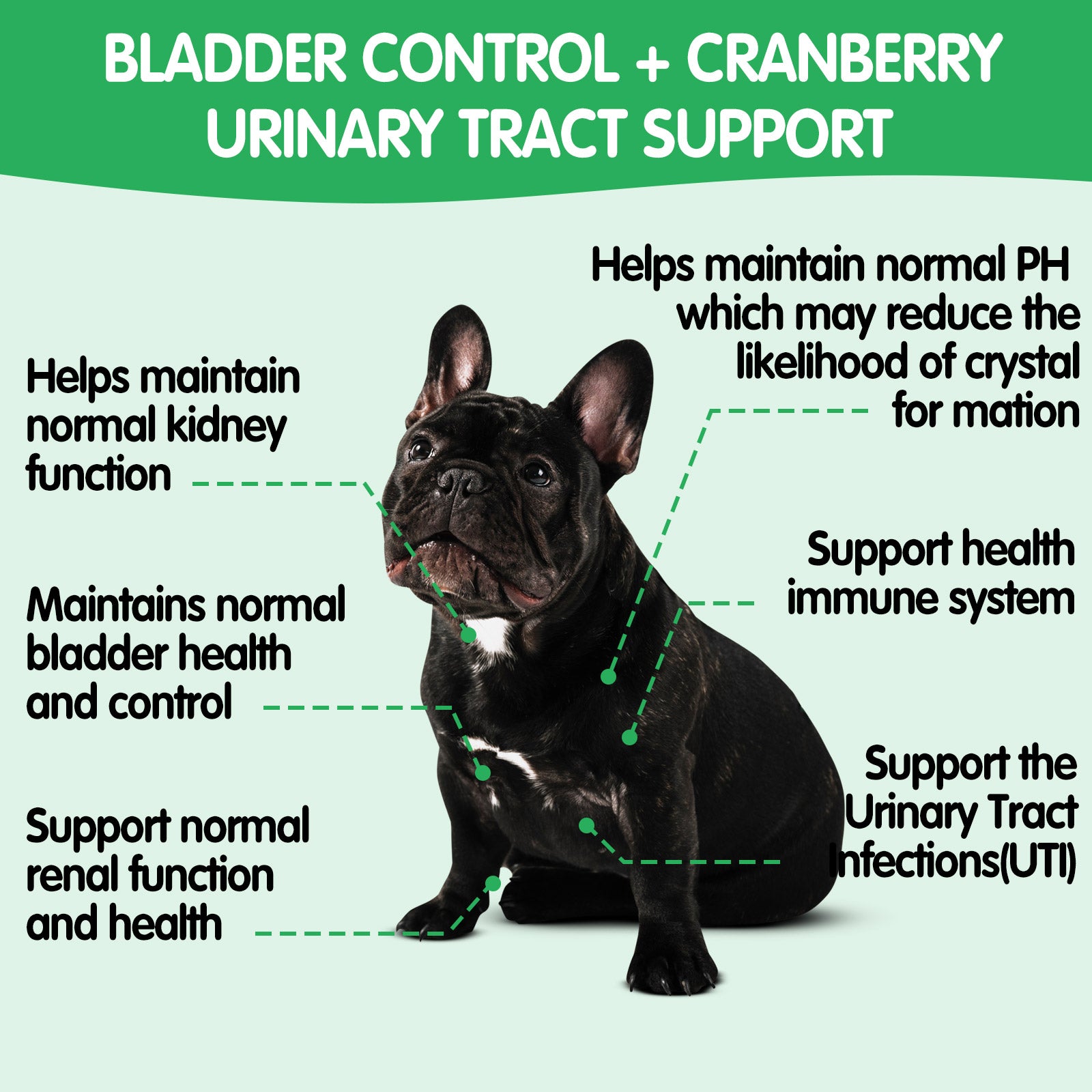 Worafy Bladder Control & Cranberry Chews For Dogs