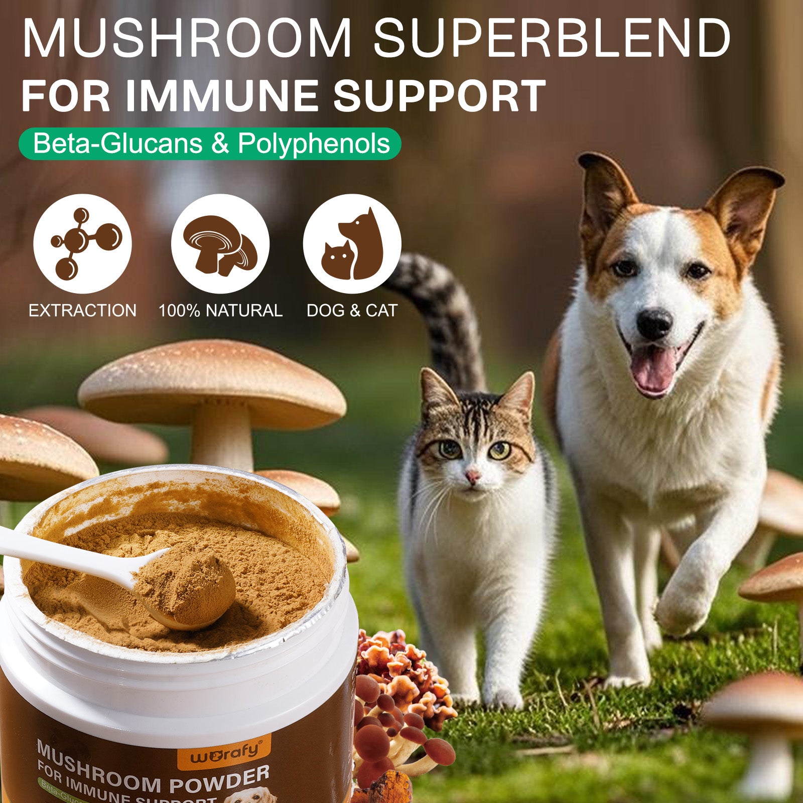 Worafy Mushroom Powder Dor Immune Support Beta-Glucans and Polyphenols 120g