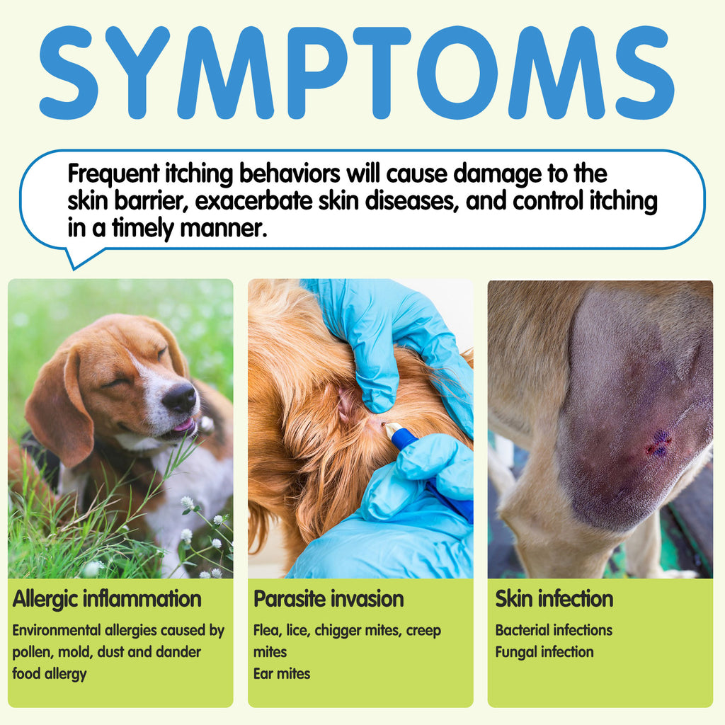 Worafy Allergy Relief Immune Chews for Dogs