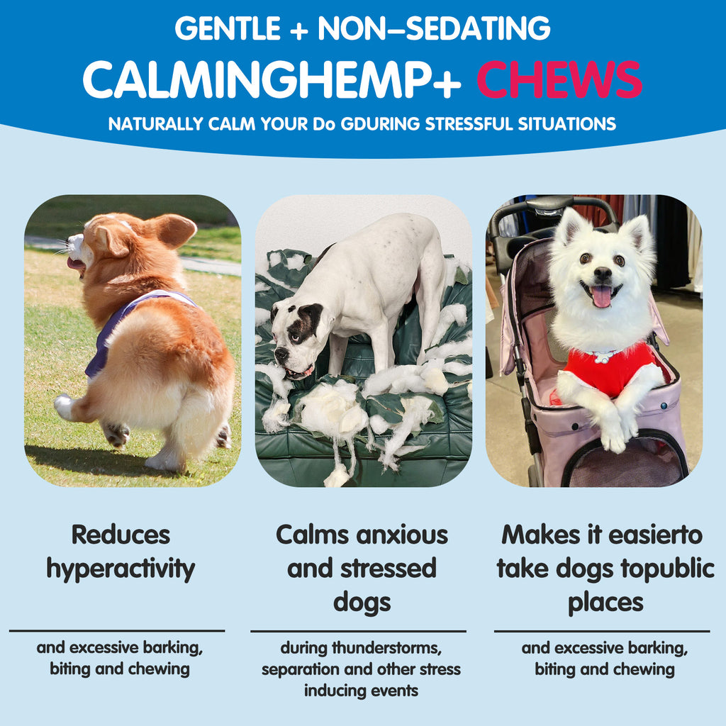 Worafy Hemp Calming Chews For Dogs/PEKING DUCK