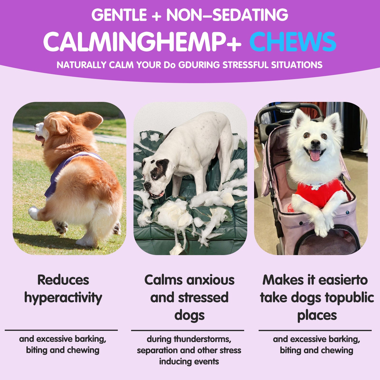 Worafy Hemp Calming Chews For Dogs/CHICKEN