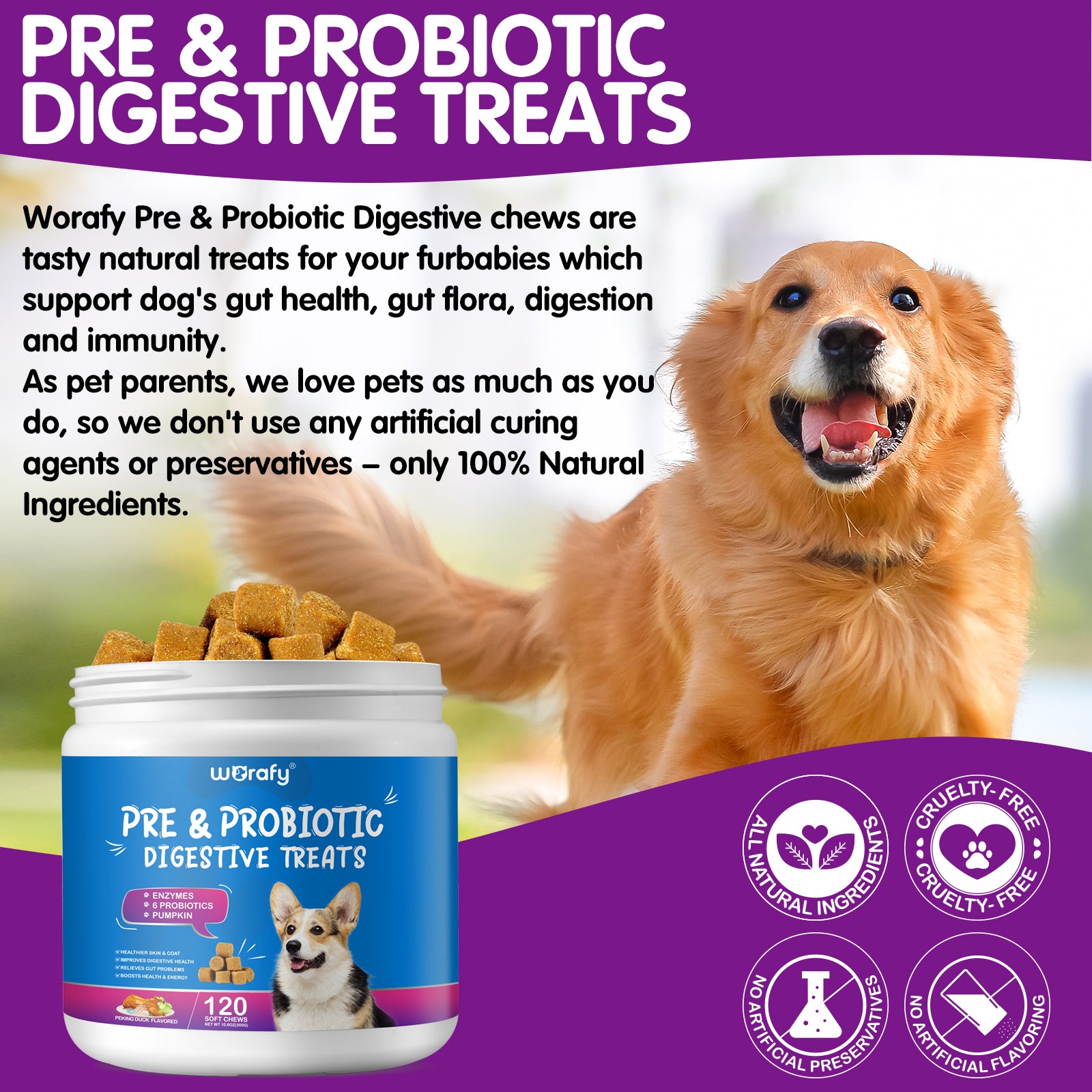 Worafy Pre & Probiotic Digestive Treats For Dogs